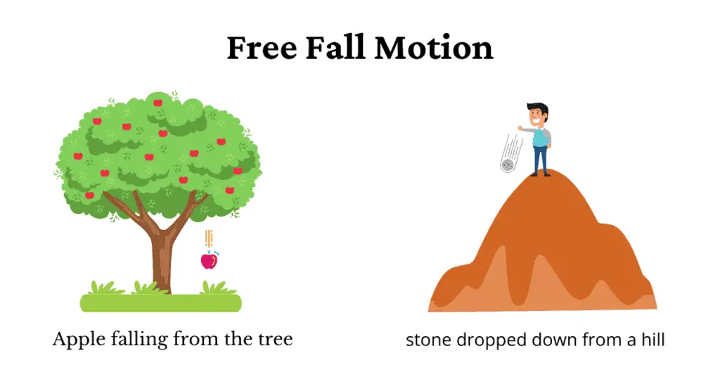 What is Free Fall in Physics?