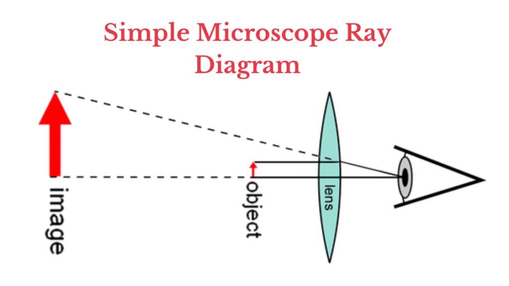 Simple Microscope