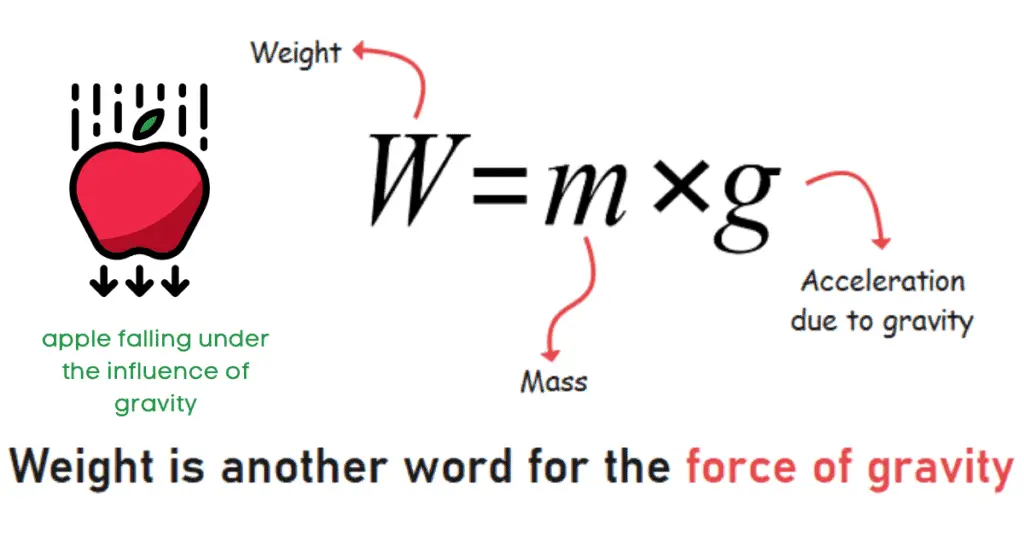 Is weight a vector or scalar? 2 Weight