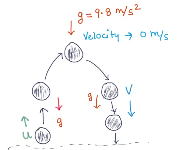 Is acceleration a vector or scalar? 2 acceleration direction acceleration vector or scalar