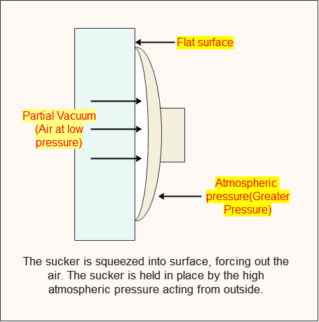 rubber sucker Applications of atmospheric pressure