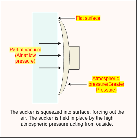 Applications of atmospheric pressure in daily life 3 rubber sucker Applications of atmospheric pressure